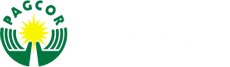 PAGCOR國際賭場執照
